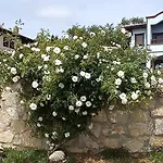 Villa Jurta *