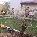 Villa Jurta *