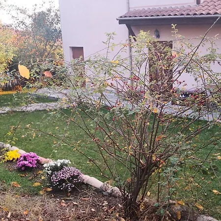 Villa Jurta *