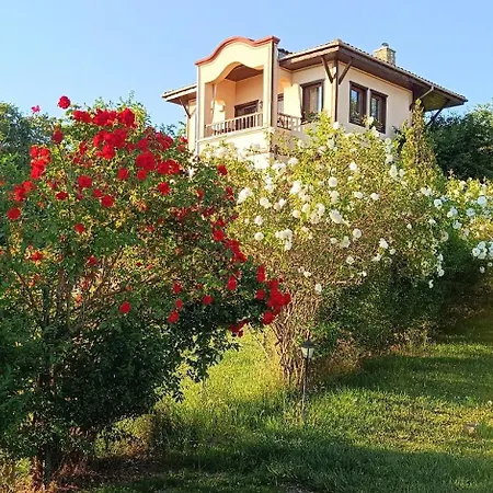 Villa Jurta *
