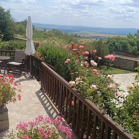 Βίλα Jurta *